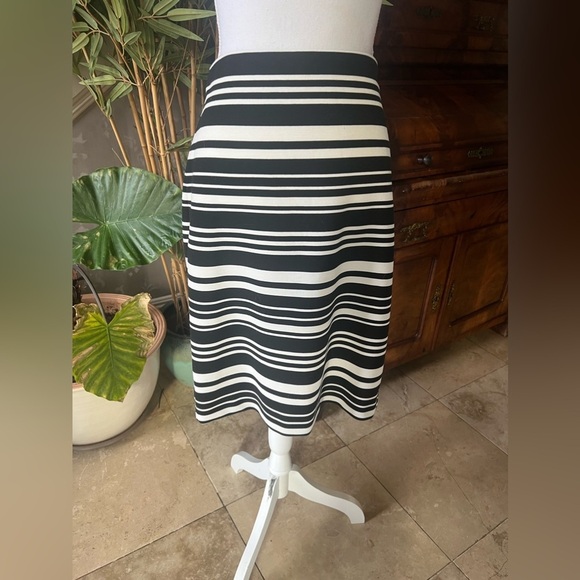 Ann Taylor Factory skirt 8. Excellent condition hidden back zip elastic waist - Picture 8 of 8